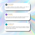 shopify auction